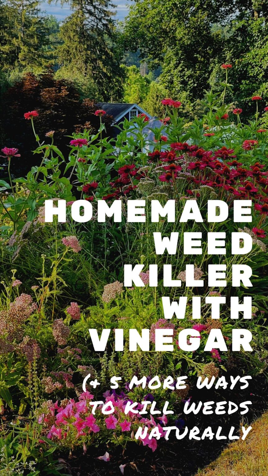 Homemade Weed Killer with Vinegar (That Works!) | Stacy Ling