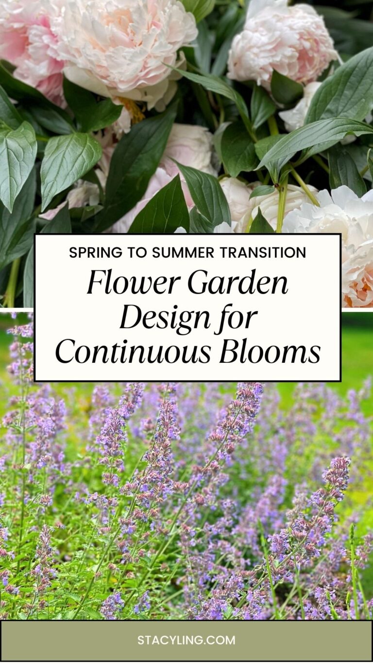 Best Flowers for Garden Spring to Summer Transition | Stacy Ling