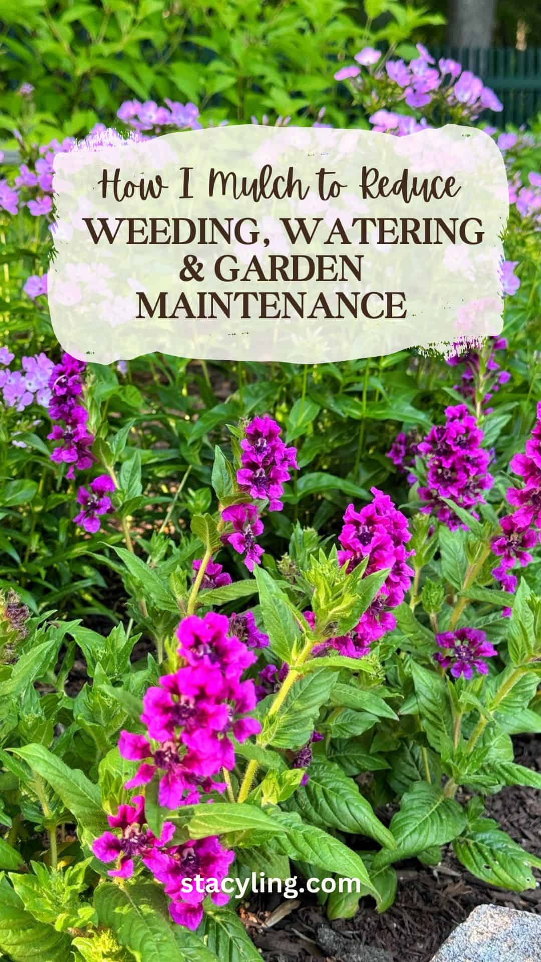 Flower garden with vibrant purple blossoms and green leaves. Text reads: "How I use mulching to reduce weeding, watering & garden maintenance." Website "stacyling.com" appears at the bottom.
