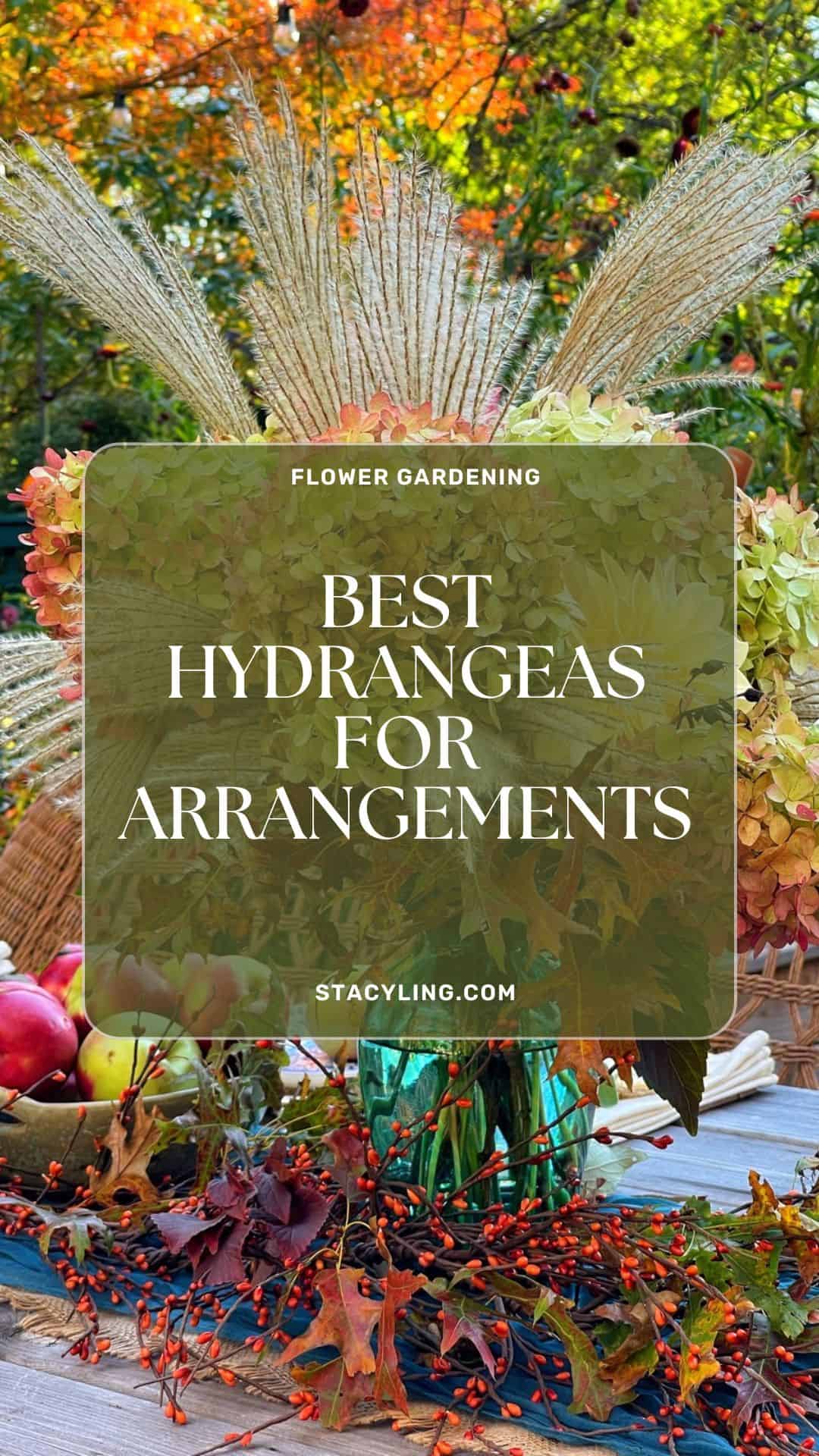 A flower arrangement with hydrangeas, dried grasses, and autumn leaves sits on an outdoor table decorated with apples and berries. Text overlay reads "Best Hydrangeas for Arrangements.
