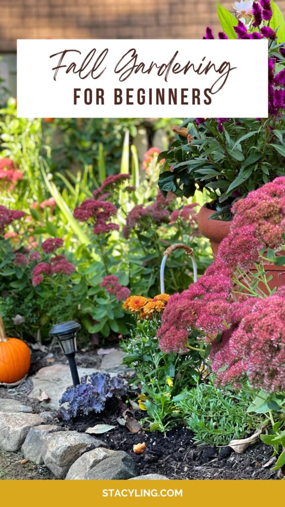 Fall Gardening for Beginners: Your Guide to Growing Vibrant Vegetables ...
