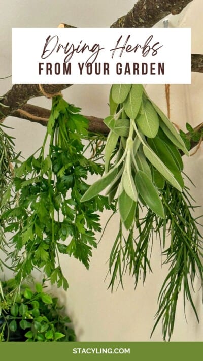 Drying Herbs the Easy Way: How to Preserve Your Garden Harvest | Bricks ...