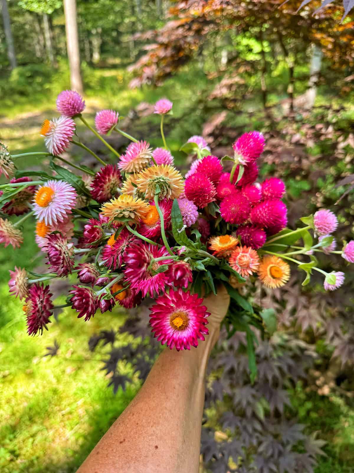 A hand holding a colorful bouquet of wildflowers, including pink, yellow, orange, and magenta blooms. The background features a lush, green garden with sunlight filtering through the trees and foliage.