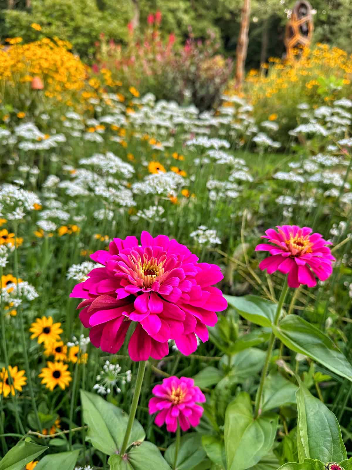 Close-up of vibrant pink flowers in the foreground, with an array of yellow and white wildflowers filling the background. Green leaves and stems support the colorful blossoms, while trees and garden structures are faintly visible in the distance.