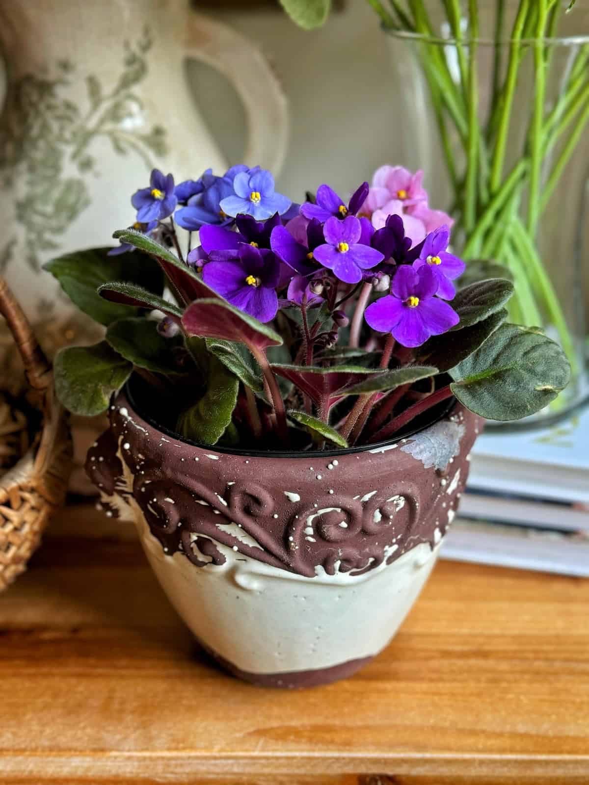 A clay pot filled with vibrant purple and pink African violets surrounded by green leaves sits on a wooden surface. A decorative basket and a ceramic pitcher with floral accents are blurred in the background.