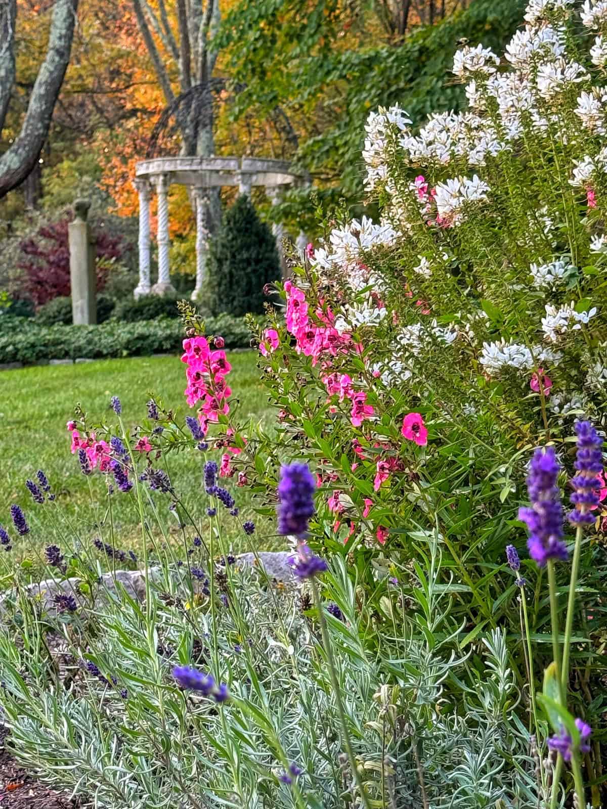 A garden scene with vibrant pink and purple flowers in the foreground and a white gazebo in the background, surrounded by lush greenery and autumn-colored trees.
