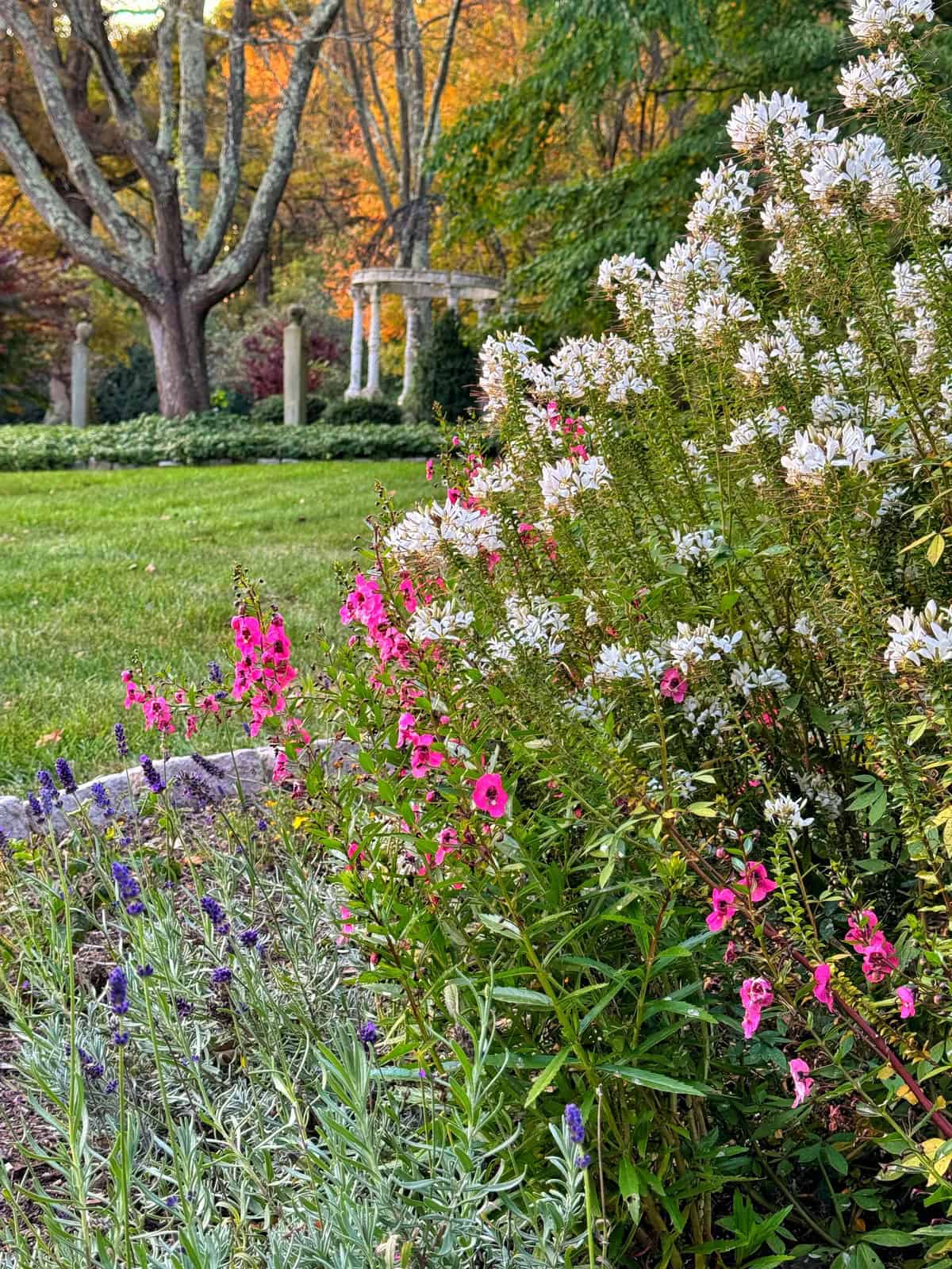 A garden scene with vibrant pink, white, and purple flowers in the foreground, green grass, and a white gazebo surrounded by trees with autumn foliage in the background.