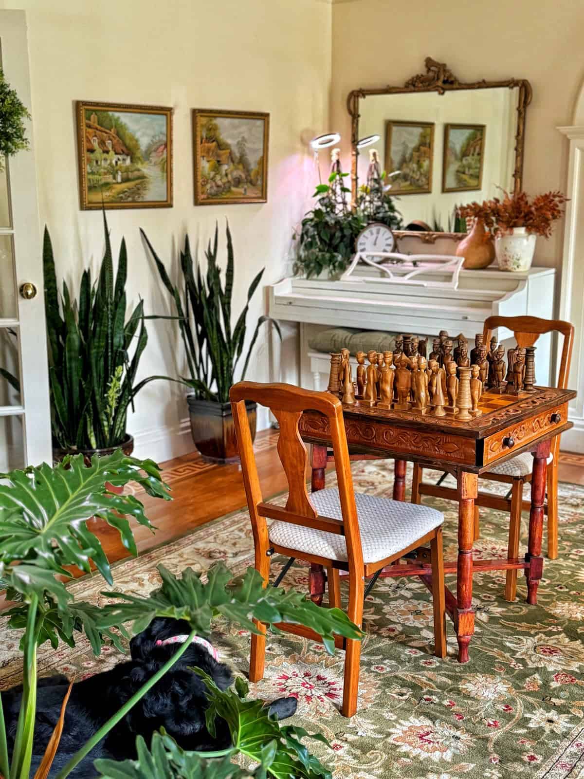 A cozy front entry room with a cottagecore aesthetic has a chess set on a wooden table, surrounded by chairs. A white piano with plants and a clock rests against the wall. Paintings hang above the piano, and lush greenery adds to the inviting atmosphere. A black dog is lying on the rug.