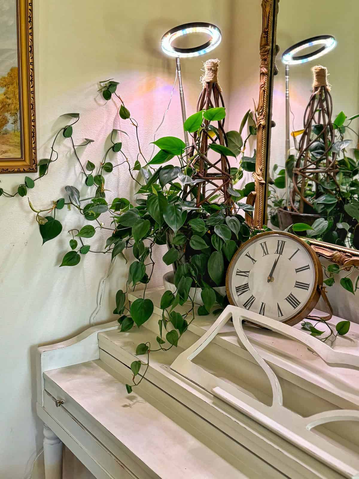 A white piano adorned with a trailing vine plant, a vintage-style clock, and a mirror reflecting the greenery and soft lighting. The setup includes wooden trellises with circular lights on top, creating an elegant and cozy ambiance.