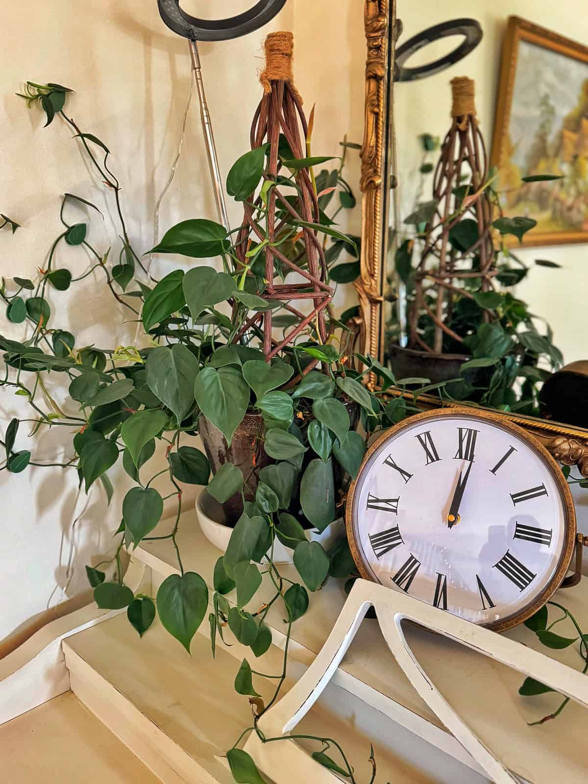 https://stacyling.com/wp-content/uploads/2024/12/heartleaf-philodendron-and-clock-2.jpg?utm_source=chatgpt.com