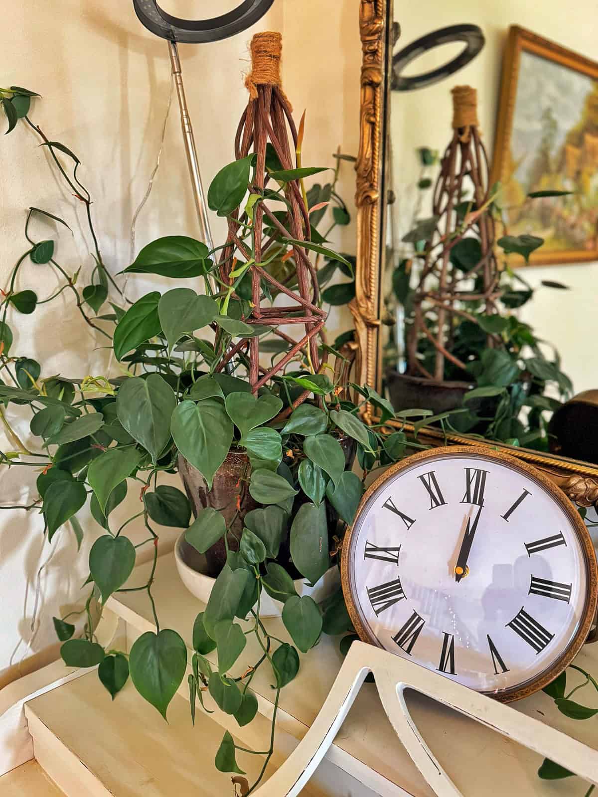 A round analog clock with Roman numerals sits on a white surface, surrounded by lush green ivy plants. The background features a golden-framed mirror and a painting on the wall, reflecting a cozy and vintage atmosphere.