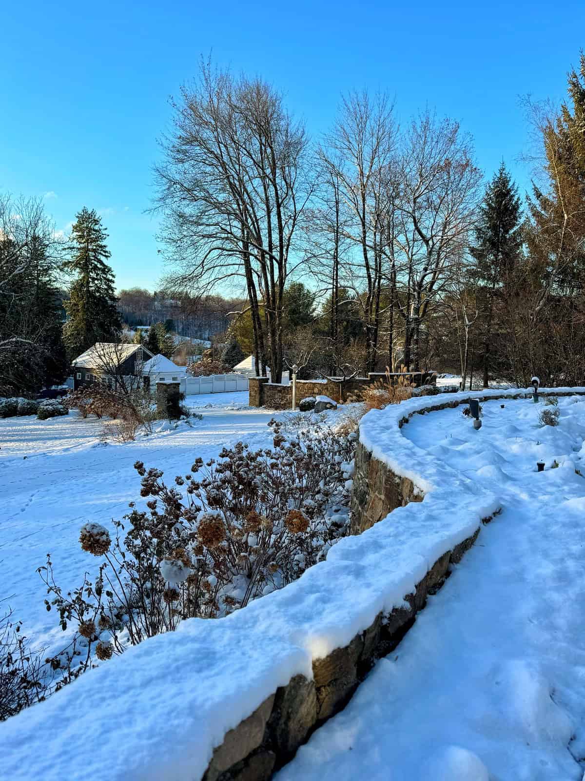 A snowy landscape with a stone path covered in snow, bordered by shrubs and dried flowers. Bare trees stand against a clear blue sky, and houses are visible in the distance amidst a forested area.