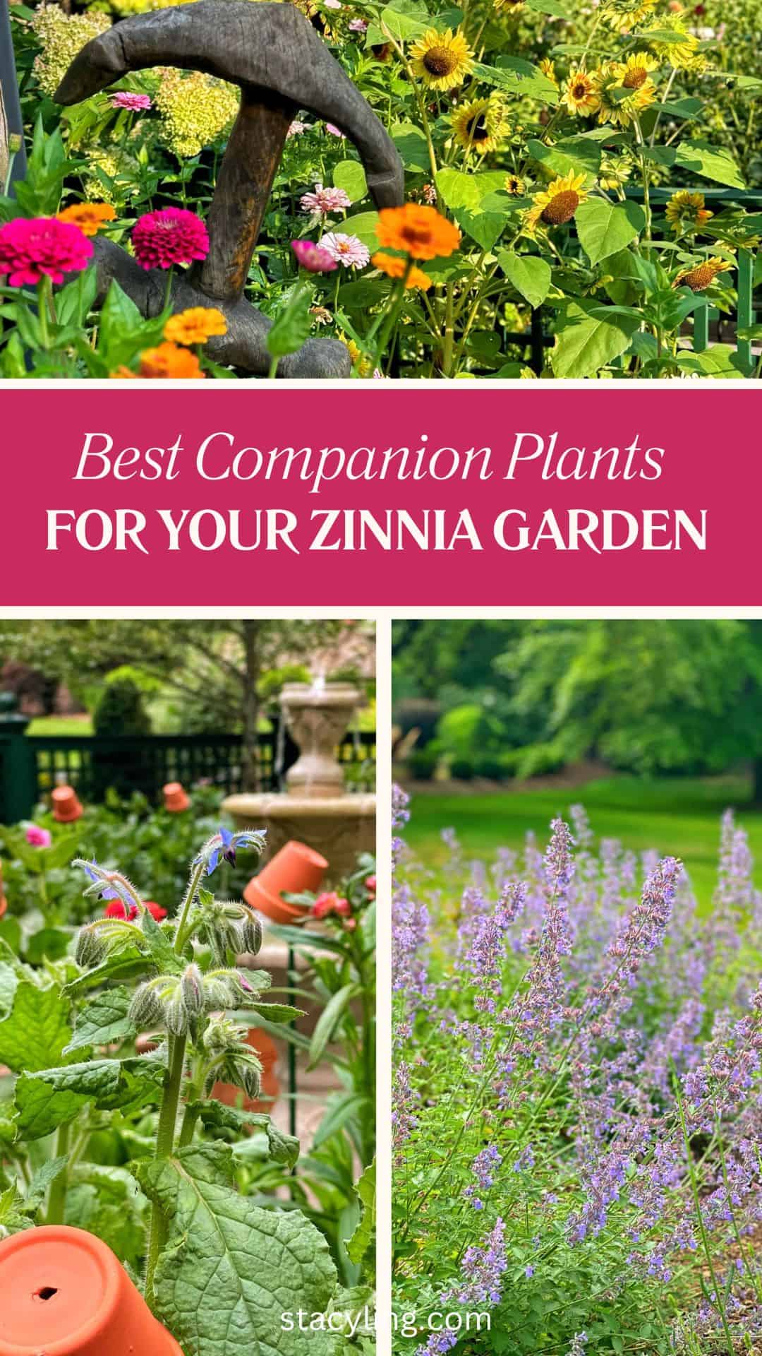 A collage features colorful zinnias with a garden statue, companion plants like borage and catmint, and a headline: “Best Companion Plants for Your Zinnia Garden.” Flowers and greenery fill each section.