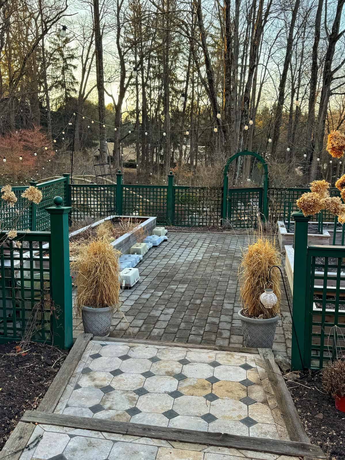 A garden with a paved walkway is surrounded by green lattice fencing. There's an archway adorned with string lights. Bare trees stand in the background, and dried ornamental grasses are placed in pots along the path.