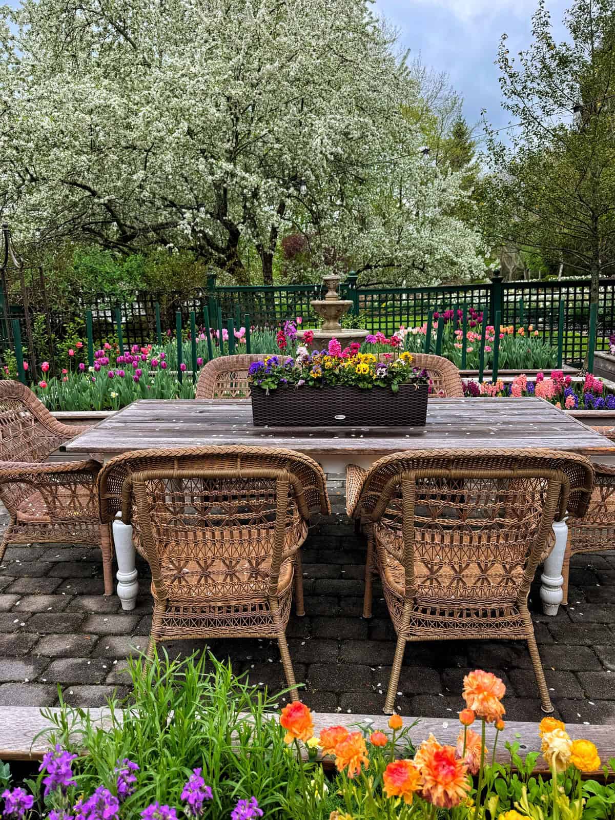 A wooden patio table with wicker chairs is set in a garden, surrounded by blooming flowers and trees. A planter box with colorful flowers sits on the table, with vibrant tulips and lush greenery in the background.