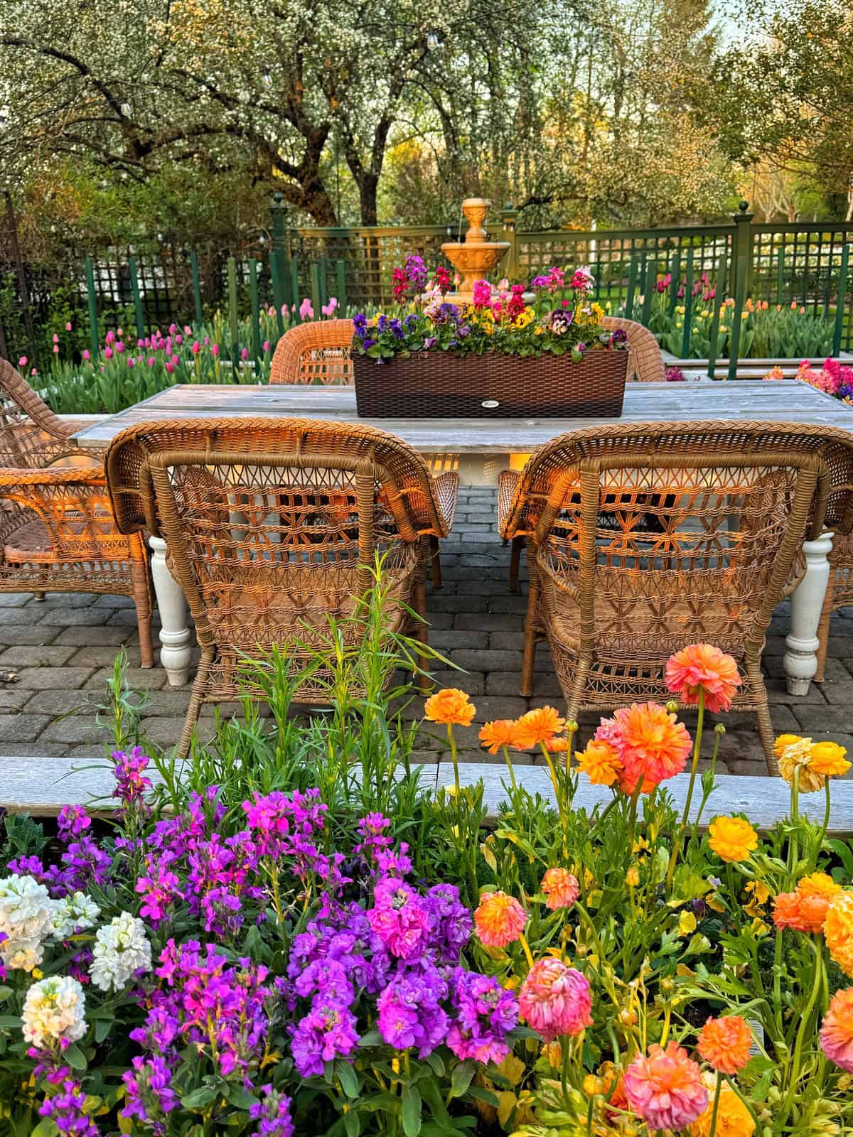 A garden patio with wicker chairs around a table, surrounded by vibrant blooming flowers in shades of purple, pink, orange, and yellow. Trees and green fencing are visible in the background.