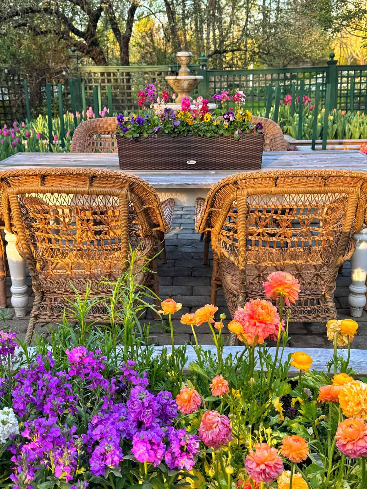 A garden scene with a white table surrounded by wicker chairs, a planter box of colorful flowers on the table, and blooming flowers in pink, purple, and orange in the foreground. Green trees and fencing are in the background.
