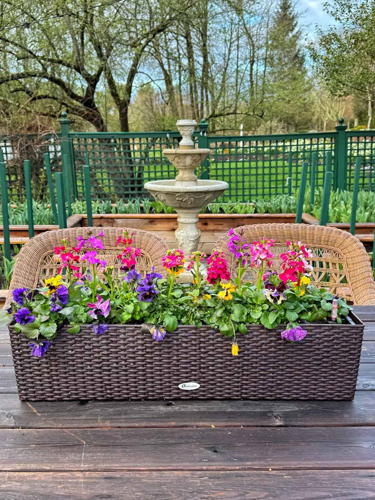 A rectangular wicker planter filled with colorful flowers sits on a wooden table outdoors, with wicker chairs and a stone fountain in the background. Lush trees and a green fence complete the garden setting.