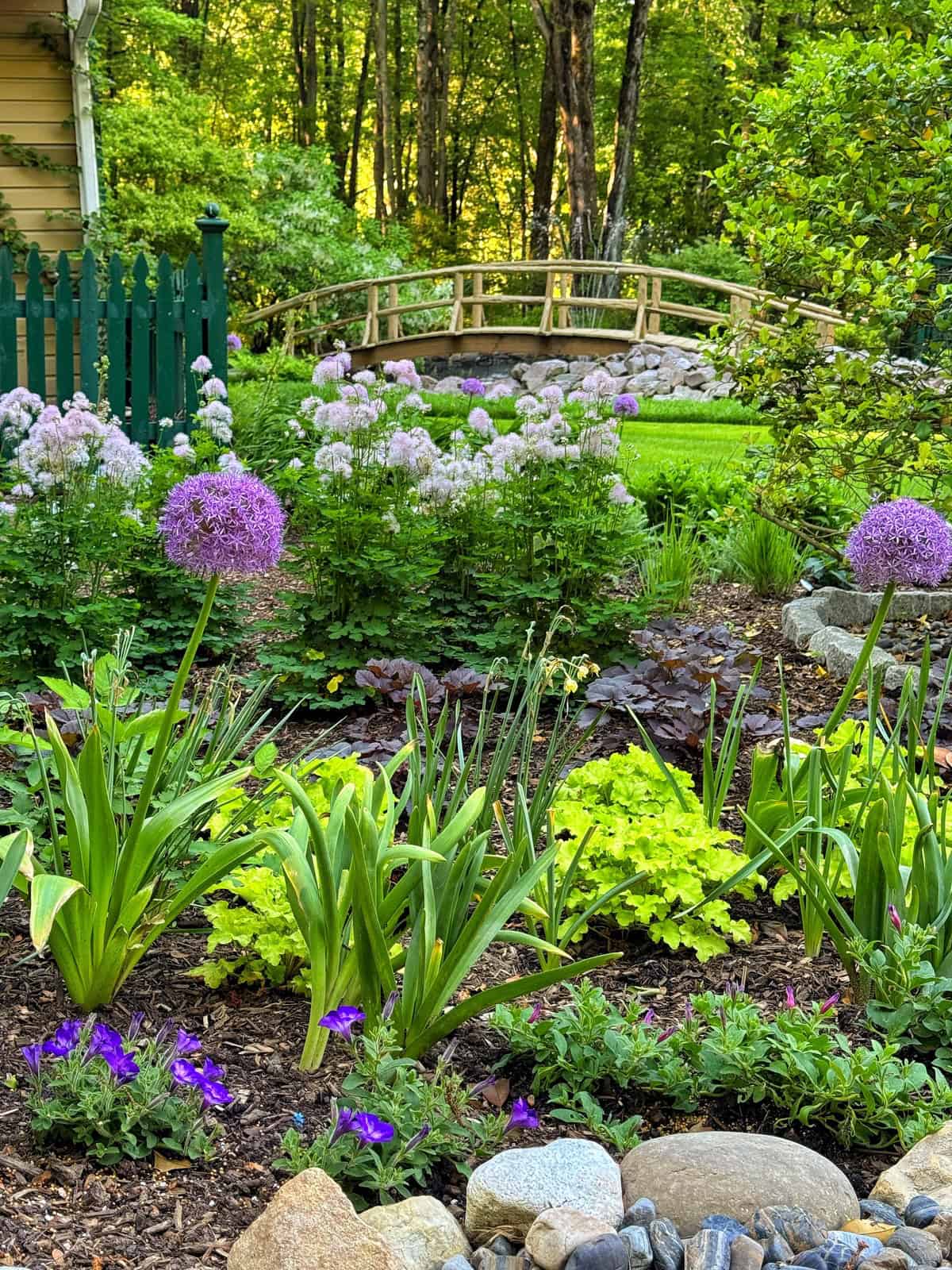 A vibrant garden with purple and white flowers, green plants, and a curved wooden bridge in the background. A green fence and trees are visible behind the bridge; rocks border the garden in the foreground.