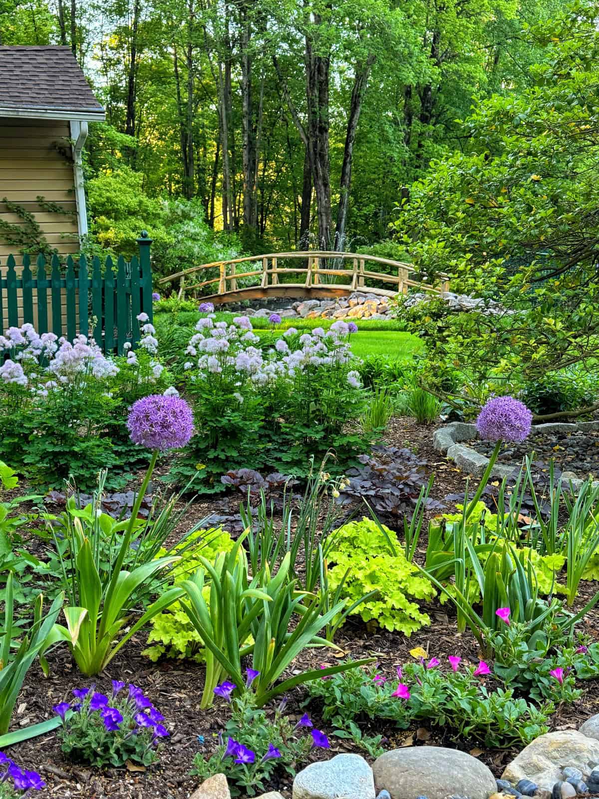 A lush garden with purple and pink flowers, green foliage, and a small wooden footbridge in the background. A yellow house with a green fence is partially visible on the left, surrounded by tall trees.