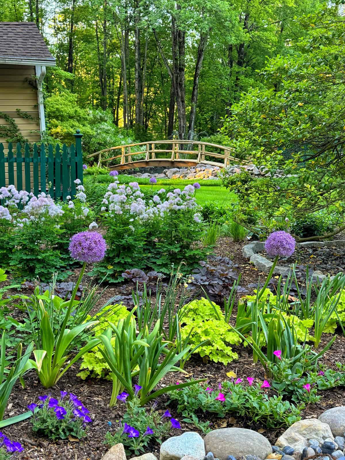 A vibrant garden with purple allium flowers, green leafy plants, and purple petunias, bordered by rocks. A wooden footbridge and green fence are in the background, with tall trees and lush greenery beyond.