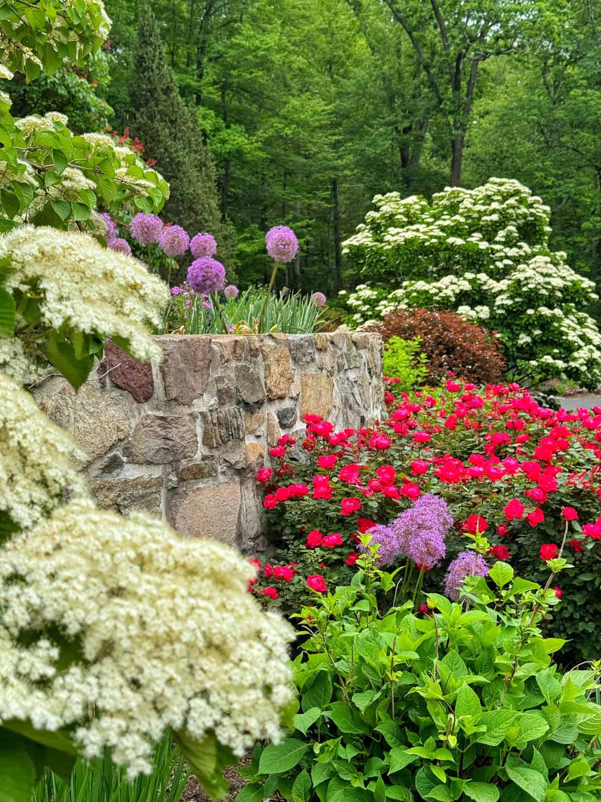 A vibrant garden with blooming red and purple flowers, white blossoms in the foreground, and green trees in the background, bordered by a rustic stone wall.