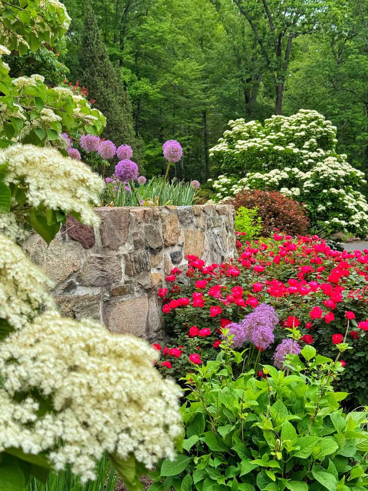 A lush garden with blooming red, white, and purple flowers, dense green foliage, and a rustic stone wall set against a backdrop of tall trees.