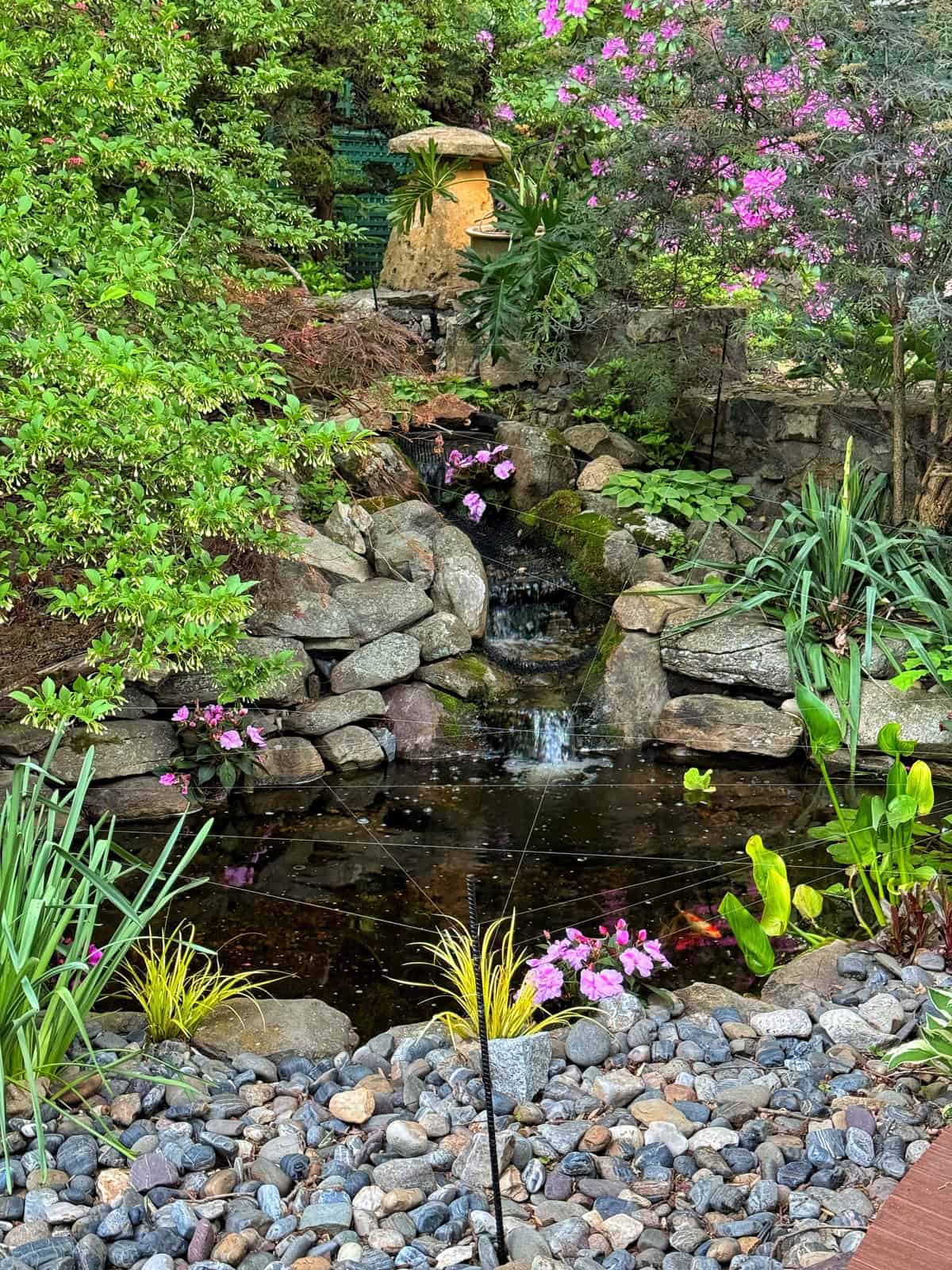 A small garden pond with clear water is surrounded by rocks, green plants, and pink flowers. A gentle waterfall cascades over stones, and lush foliage frames the peaceful landscaped scene.
