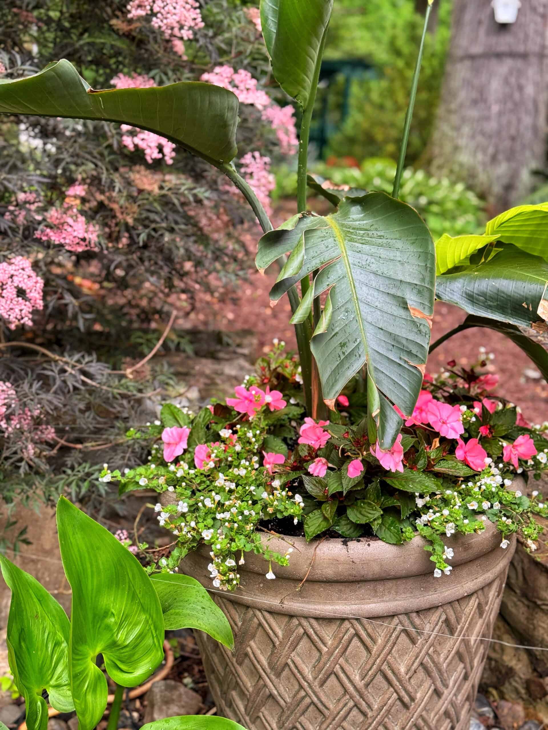 A large decorative planter filled with pink flowers, white blooms, and large green tropical leaves sits in a lush garden with other plants and trees in the background.
