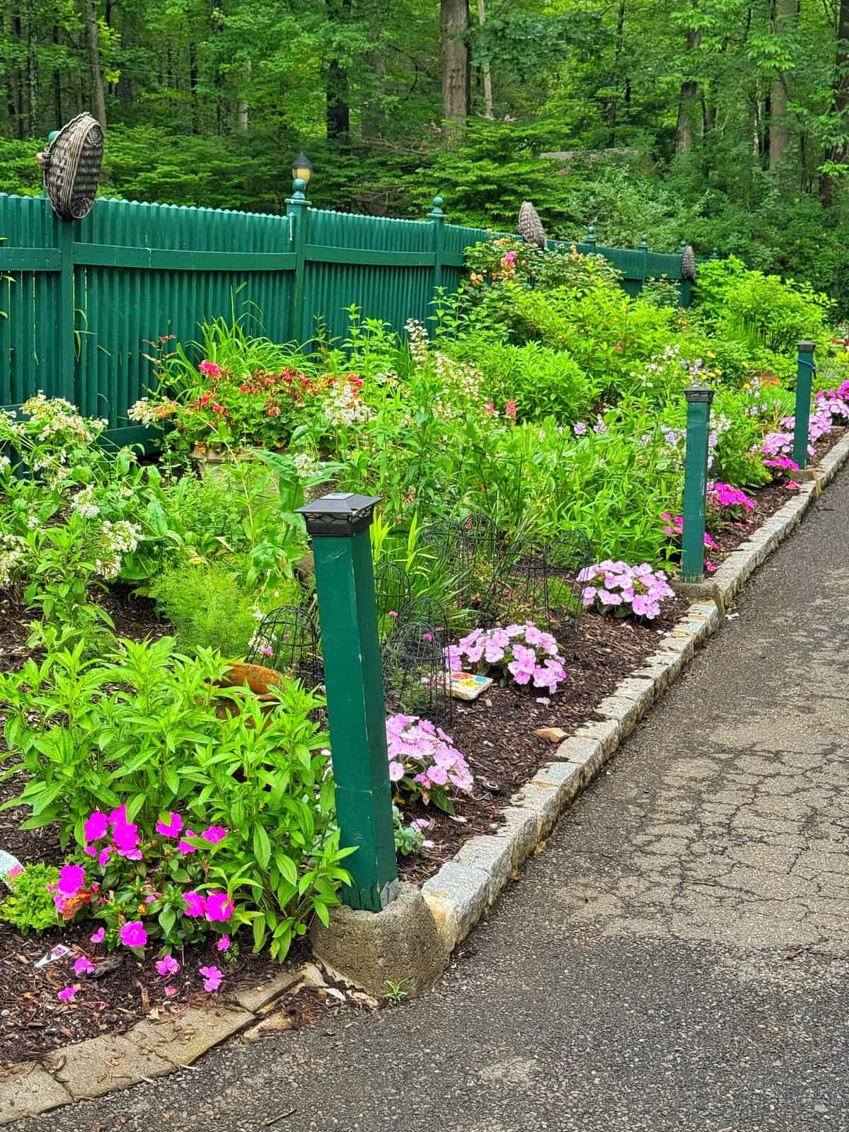A vibrant garden bed with blooming pink, white, and red flowers runs alongside a green fence and paved pathway, bordered by green posts and lush foliage in a wooded area.