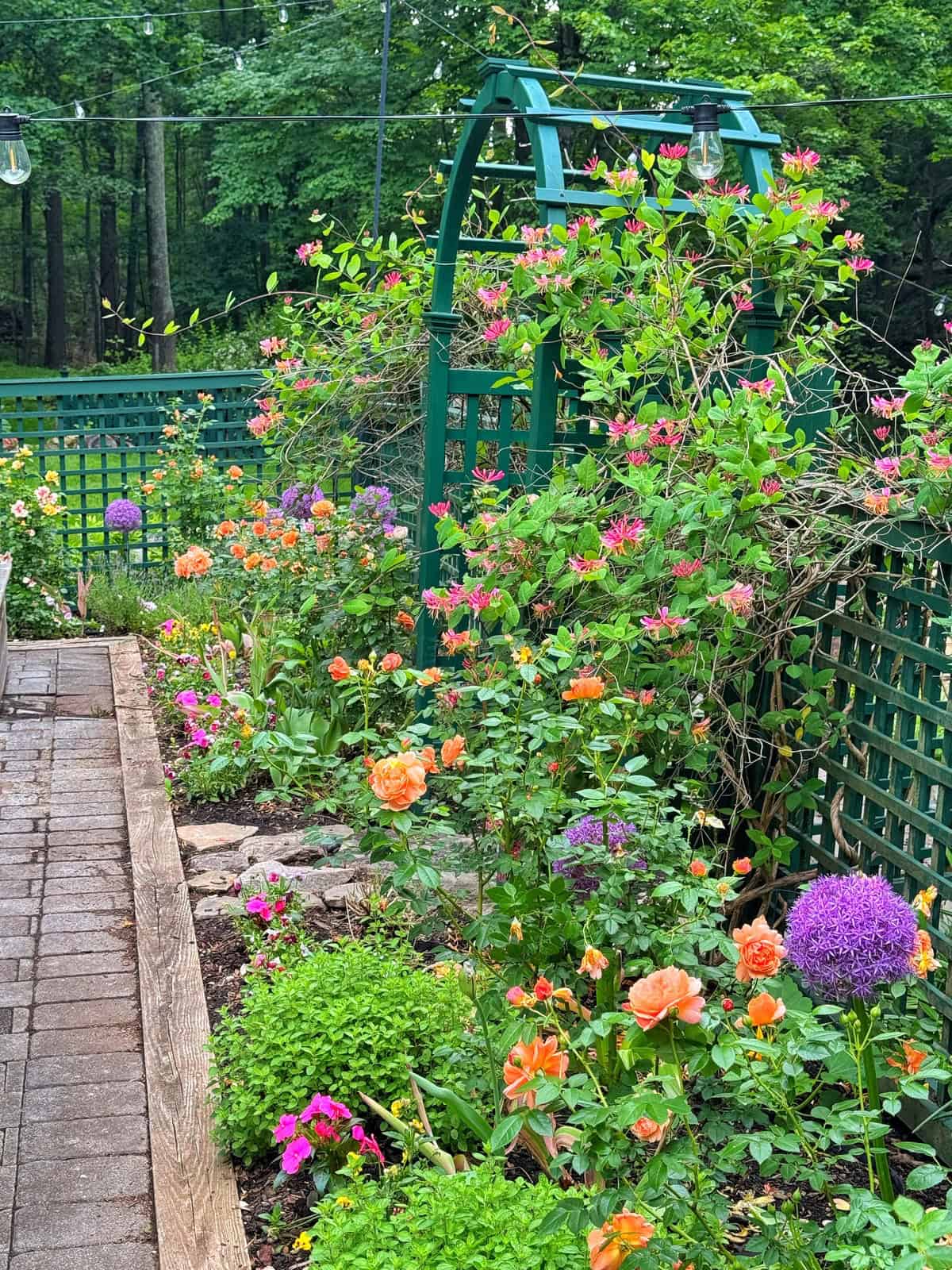 A vibrant garden with orange roses, purple alliums, and pink flowers, bordered by a brick path and green trellis arch, set against a lush, wooded background.