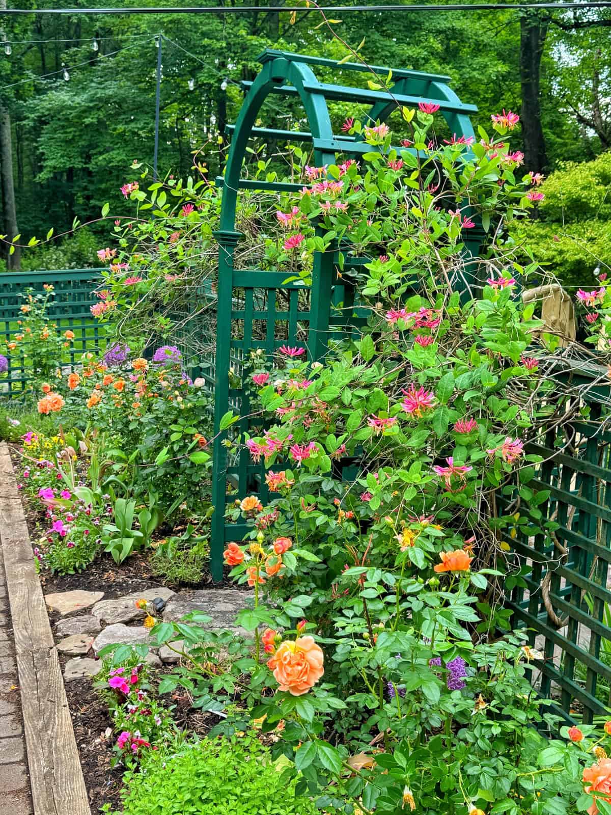 A garden with vibrant orange and pink flowers growing along a green trellis archway, surrounded by lush greenery and various blooming plants, with trees and a fence in the background.