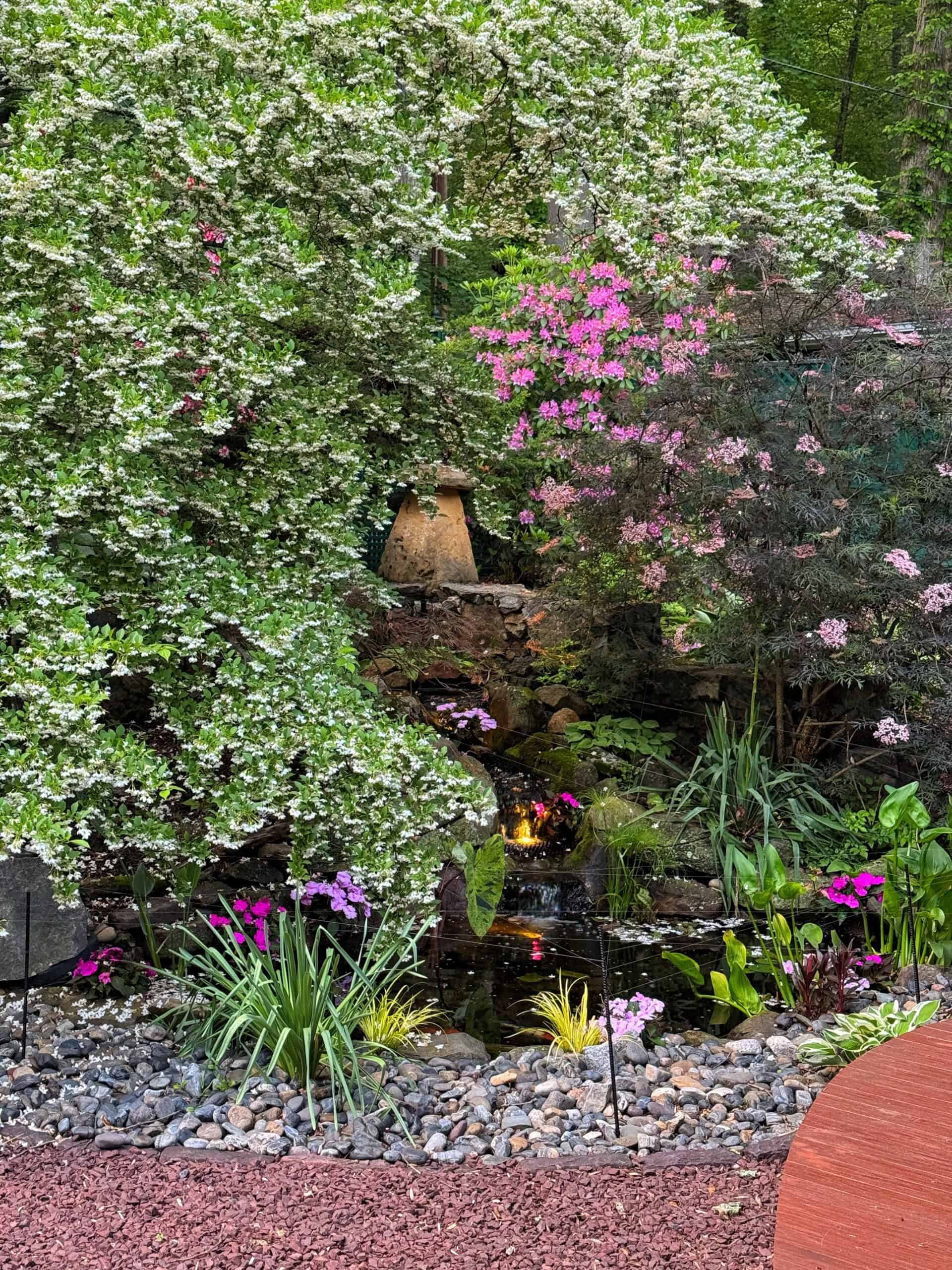 A lush garden with blooming pink and white flowers, leafy bushes, a small pond with rocks, and two decorative ceramic jugs placed among the greenery in the background.