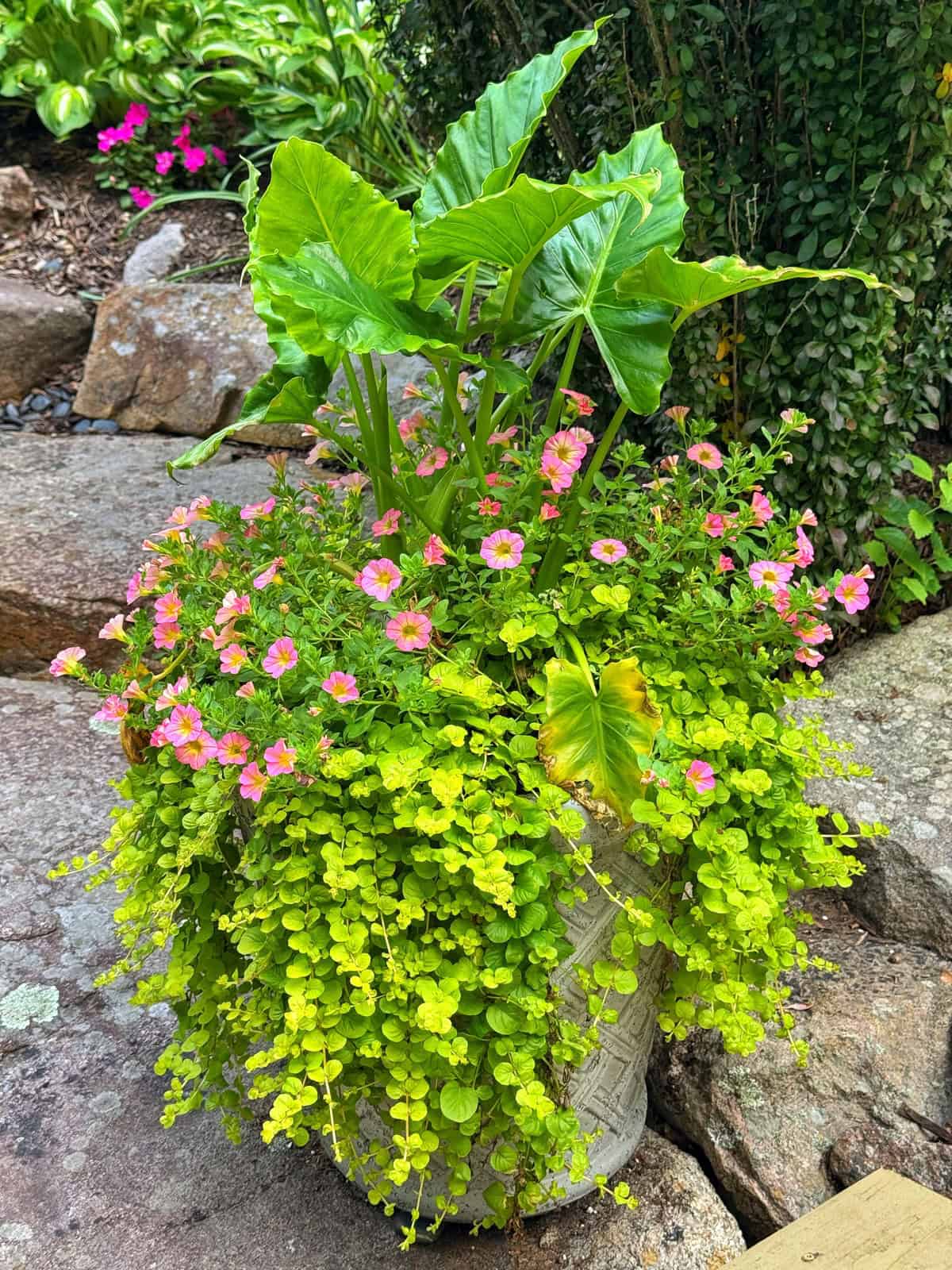 A decorative outdoor planter filled with lush green foliage, trailing yellow-green plants, and pink flowers, set on a stone patio with rocks and greenery in the background.