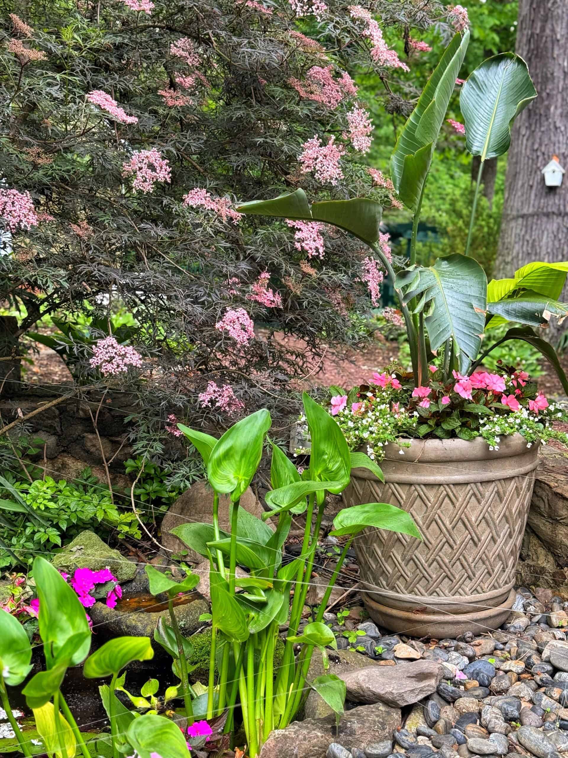 A large decorative planter with green leafy plants and pink flowers sits in a garden surrounded by rocks, blooming pink shrubs, and lush greenery. A tree trunk and birdhouse are visible in the background.