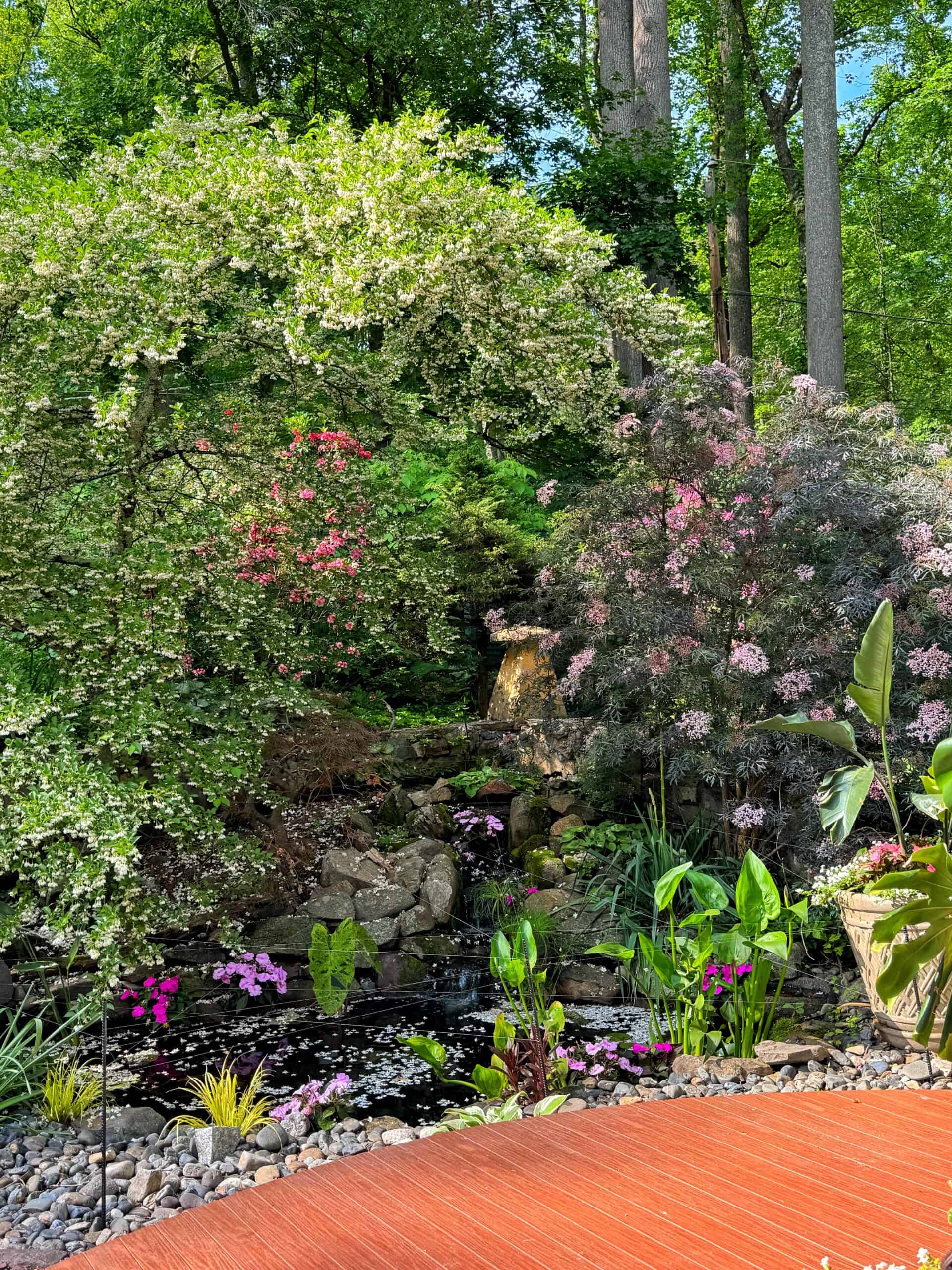 A lush garden with blooming trees and bushes surrounds a small pond with water lilies. Rocks and green plants edge the pond, and a curved wooden deck is in the foreground. Tall trees and dense greenery fill the background.