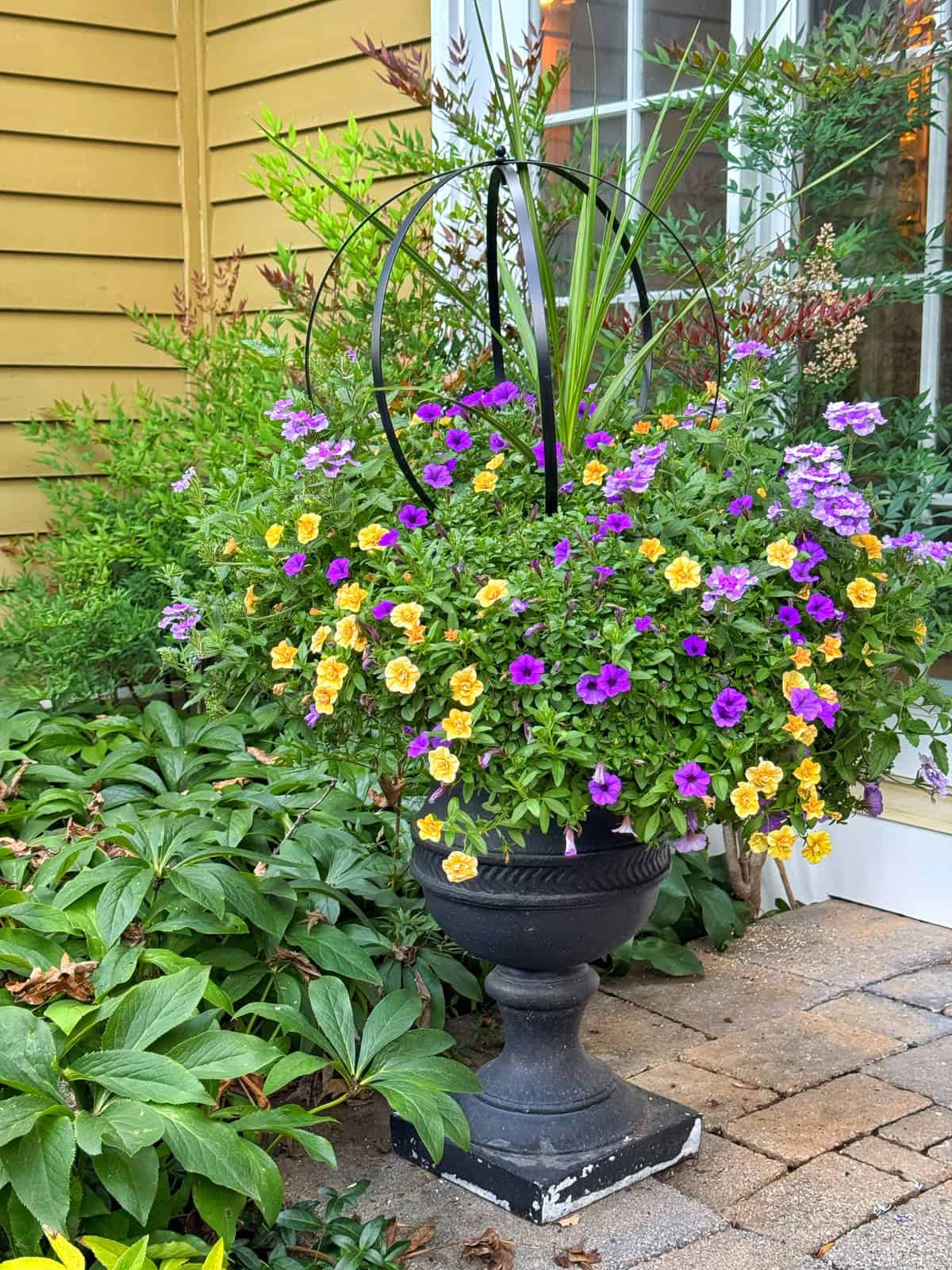 A black pedestal planter overflows with purple and yellow flowers and tall green leaves, set on a stone patio beside a yellow house with white trim and surrounded by leafy garden plants.