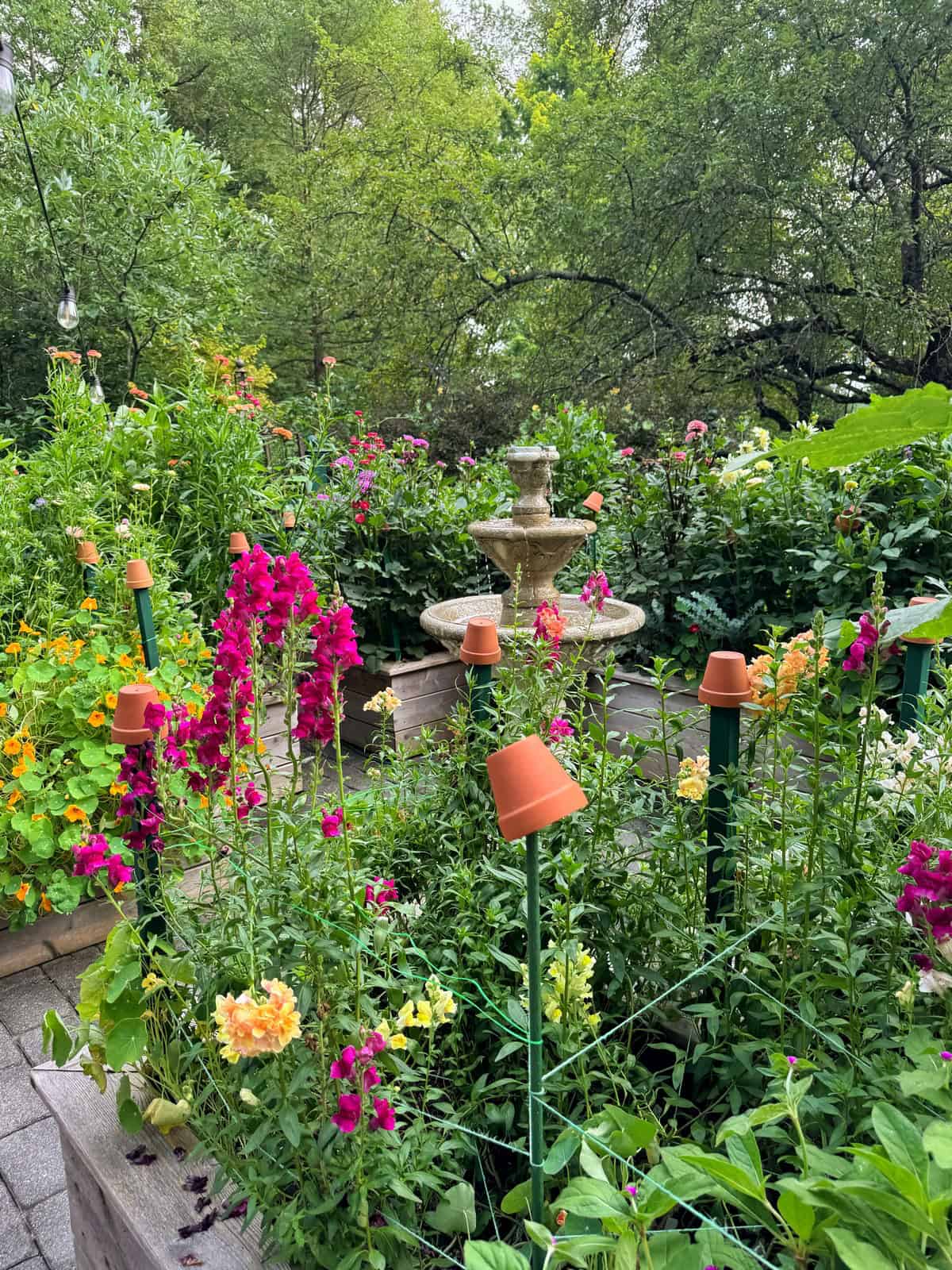 A lush garden with colorful flowers, green plants, small clay pots on stakes, and a stone fountain in the center. Trees and hanging string lights are visible in the background.