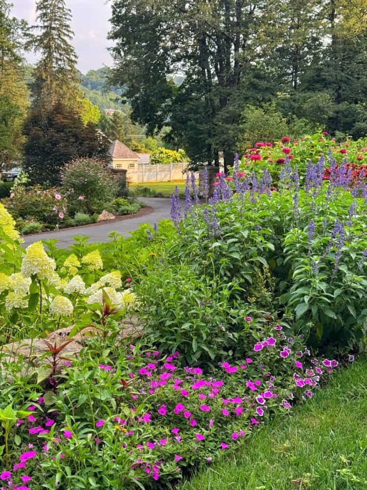 A colorful garden with blooming flowers, including pink, purple, and white varieties, lines a stone border beside a driveway. Trees and a house with a pointed roof are visible in the background.