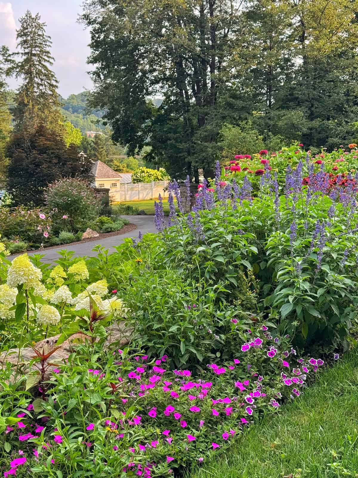 A colorful garden with pink, purple, and white flowers in full bloom, bordered by green grass and trees, with a small wooden shed and a paved path in the background under a partly cloudy sky.