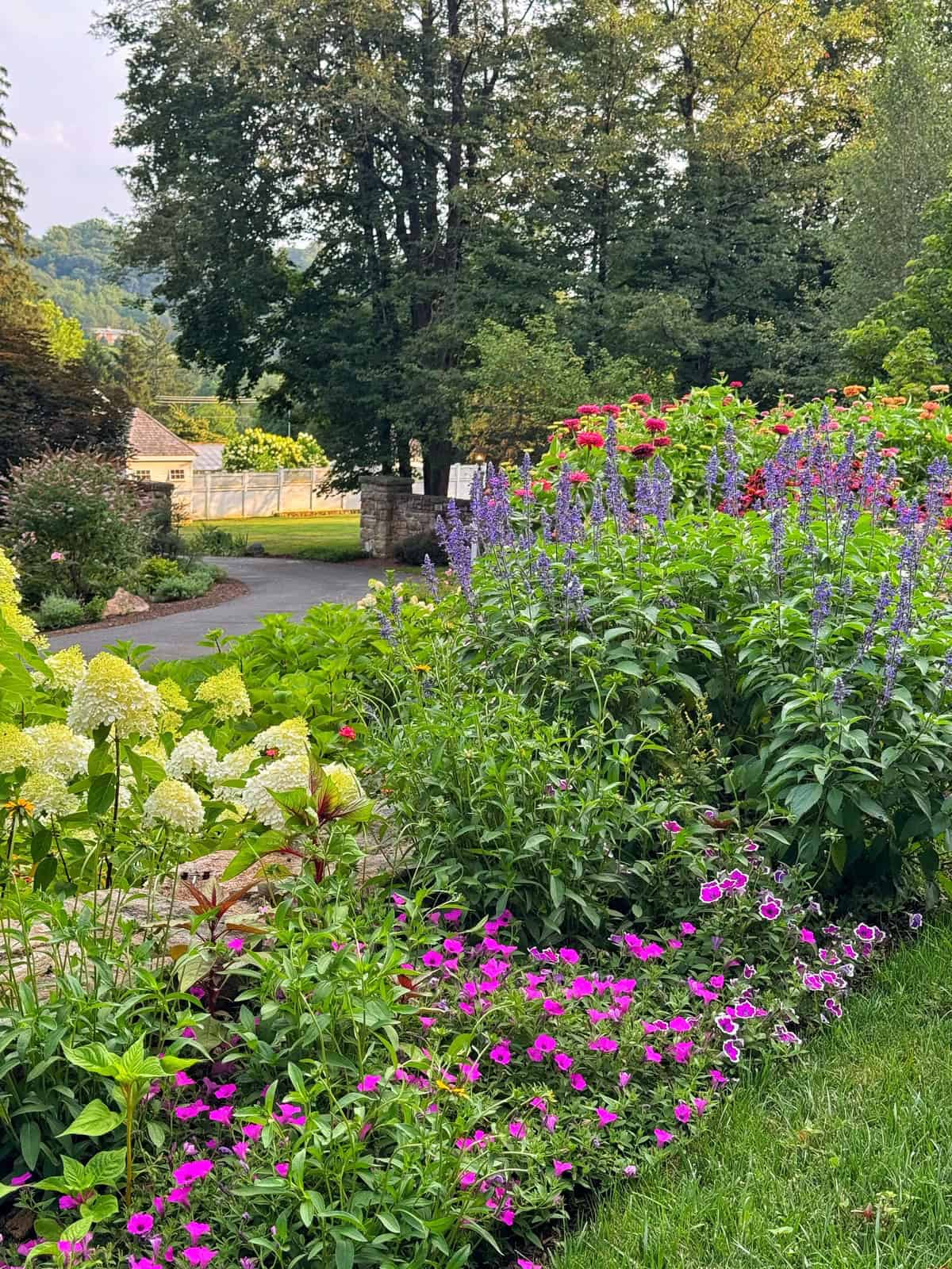 Colorful garden with vibrant pink, purple, red, and white flowers in full bloom, bordered by green shrubs and trees. A curved path leads to a stone fence and a house in the background under a partly cloudy sky.