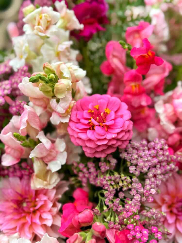 A close-up of a vibrant bouquet featuring pink zinnias, snapdragons, and other assorted pink and white flowers with lush green foliage in the background.