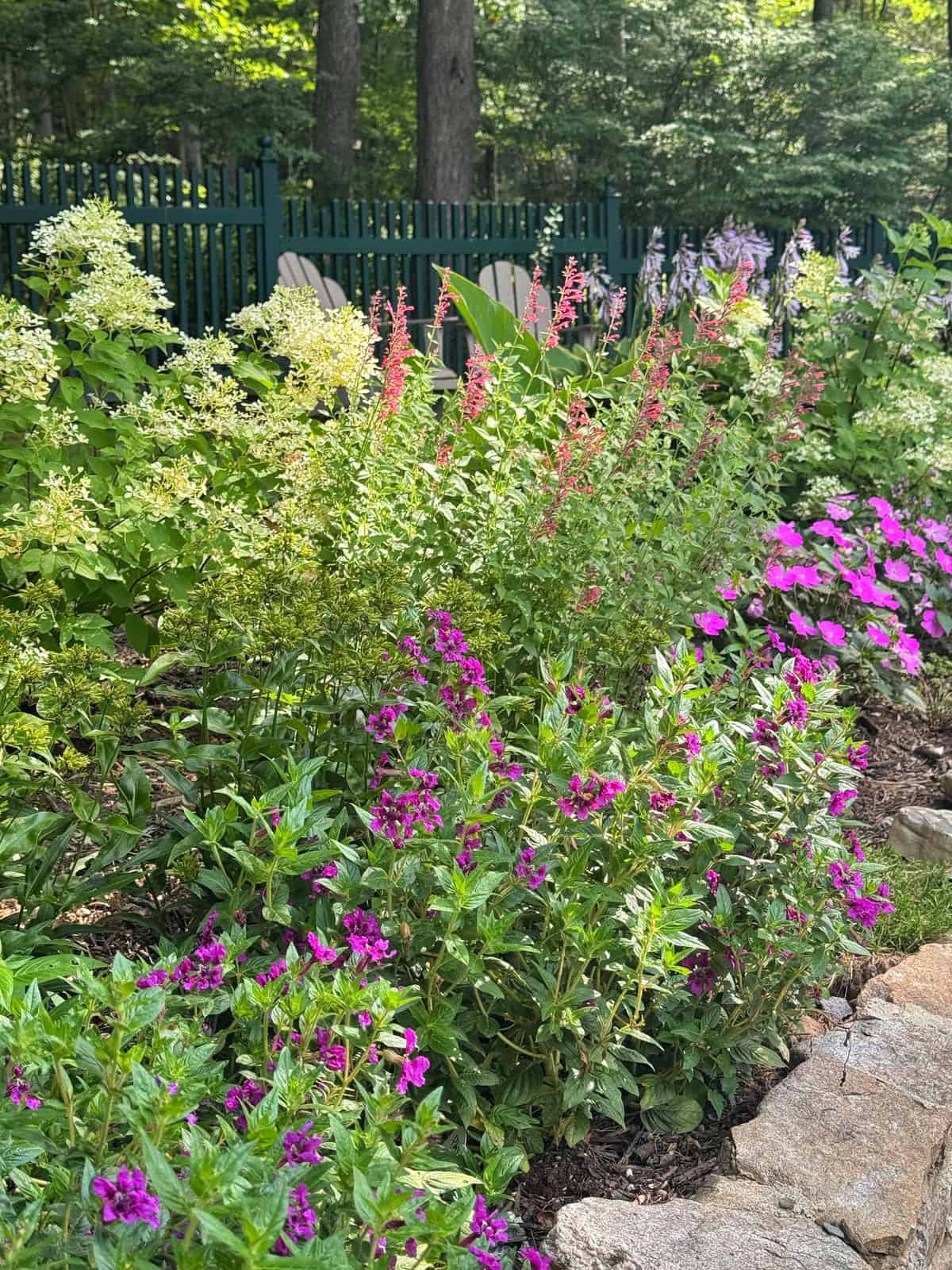 A vibrant garden bed with blooming pink, purple, and white flowers bordered by rocks, with green foliage and a black fence in the background. Sunlight filters through trees, creating a serene outdoor scene.