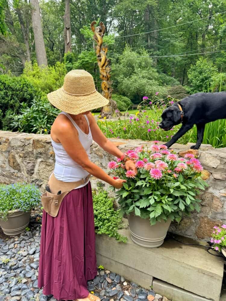 Stacy ling, A woman in a sun hat and long skirt tends to pink flowers in a garden pot while a black dog leans over a stone wall to sniff the flowers. Lush greenery and trees fill the background.