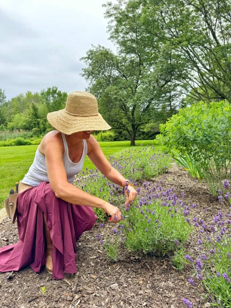 A woman wearing a straw hat and white tank top kneels in a garden, trimming lavender plants with scissors. She smiles, surrounded by greenery and purple flowers, on a cloudy day.