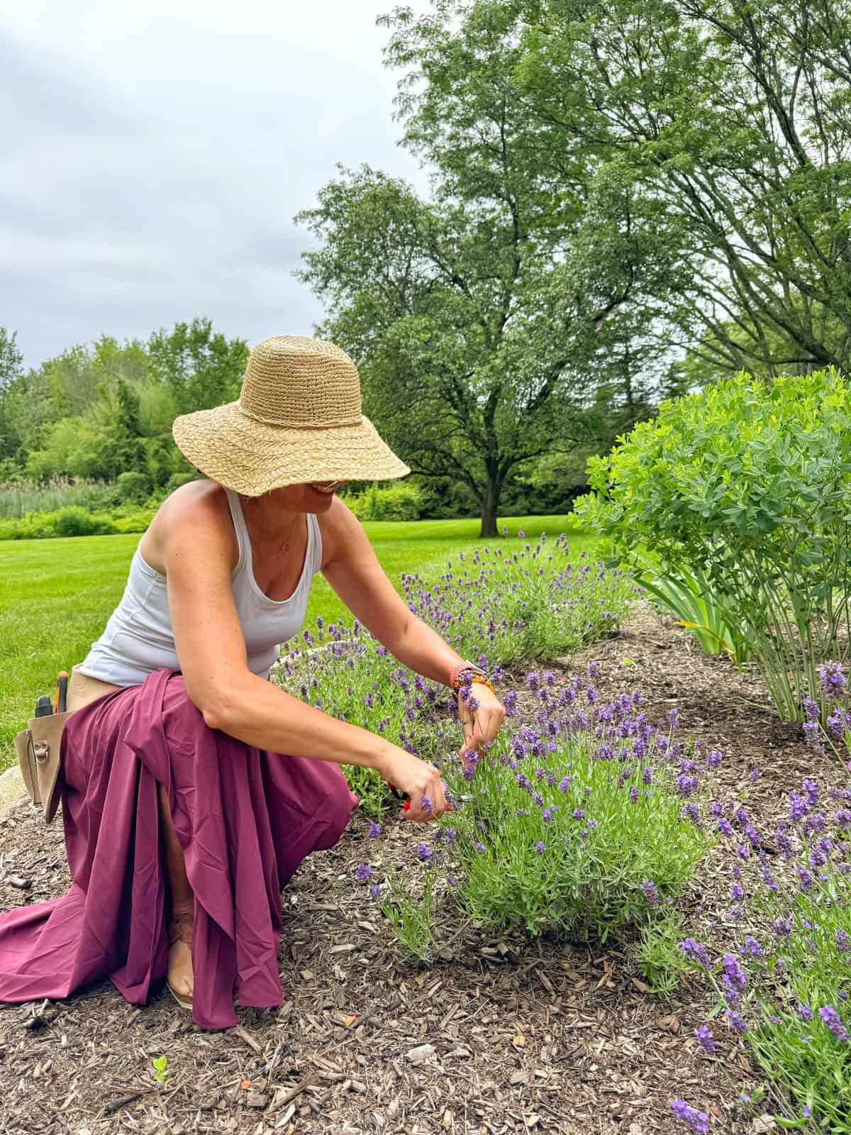 A woman wearing a straw hat and white tank top kneels in a garden, trimming lavender plants with scissors. She smiles, surrounded by greenery and purple flowers, on a cloudy day.