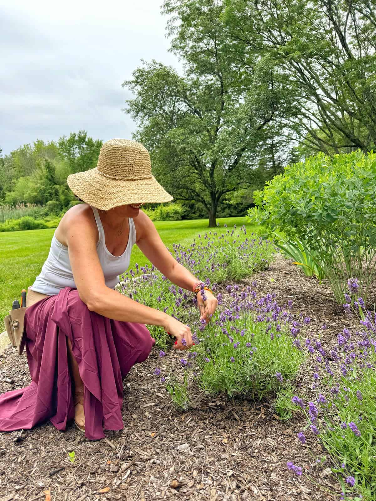 A woman wearing a sunhat, white tank top, and mauve skirt kneels in a garden, smiling as she trims lavender plants. Lush greenery and trees surround her under a cloudy sky.