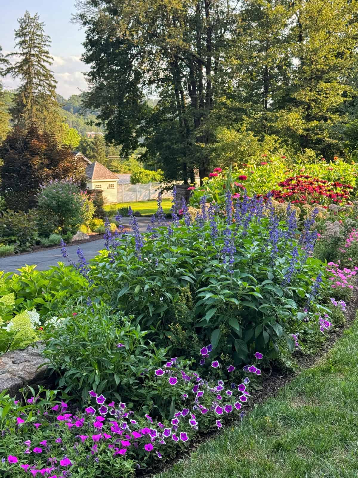 A vibrant garden bed with purple, pink, and red flowers lines a driveway. Green trees and shrubs surround the area, with a house and mountains visible in the background on a sunny day.