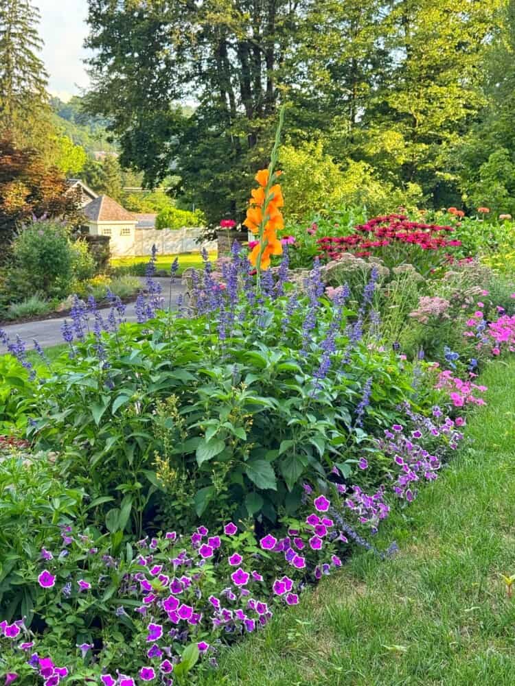 A vibrant garden bed filled with purple, pink, orange, and red flowers is bordered by a lush green lawn, with trees and a house visible in the sunlit background.
