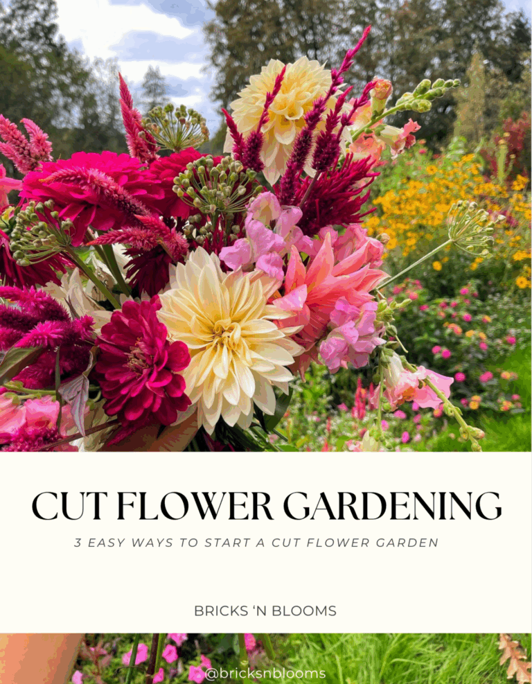 Cut Flower Gardening | 3 Easy Ways to Star a Cut Flower Garden E-BOOK